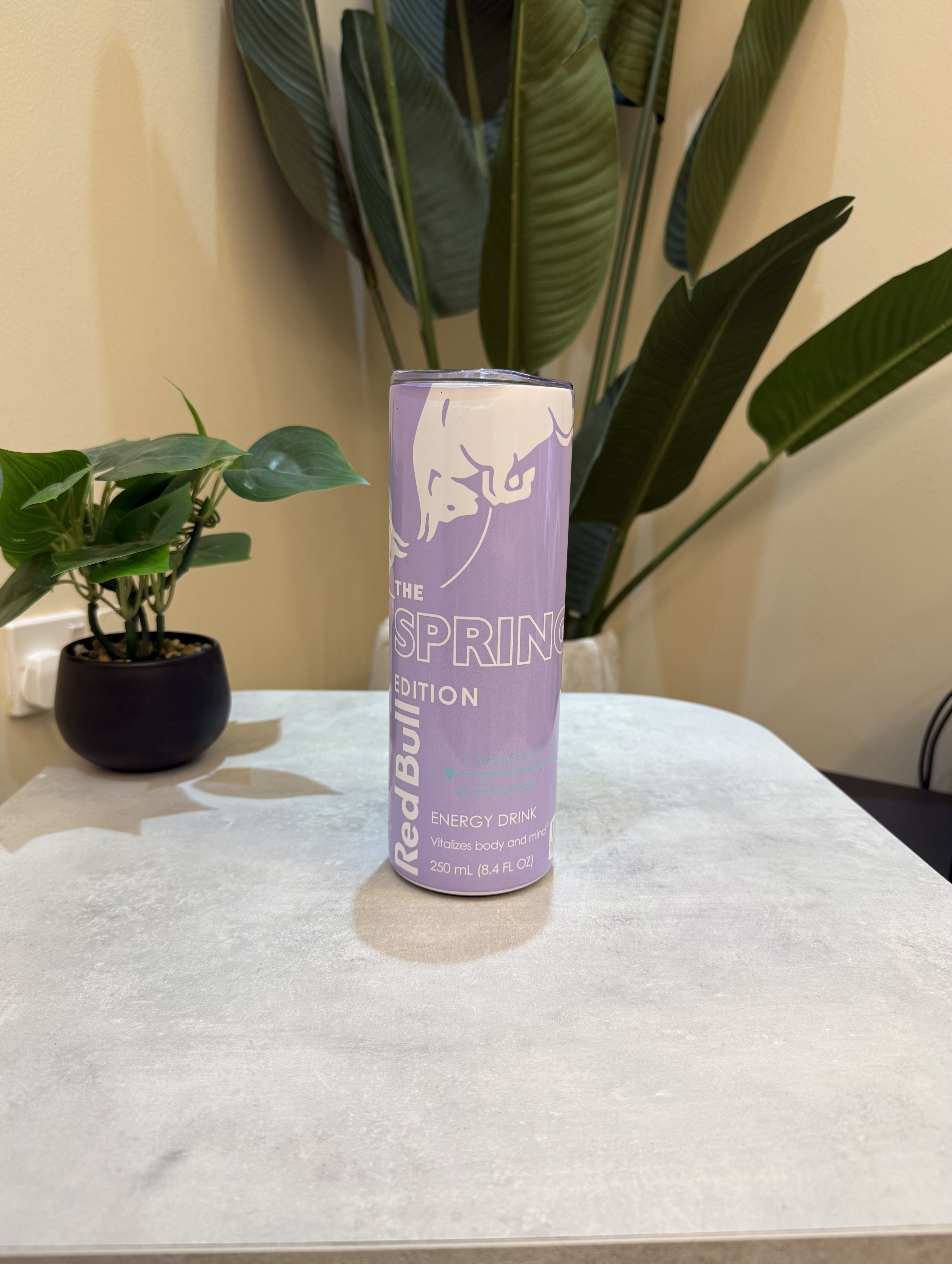 صورة مصغرة رقم 1 للمنتج ريدبول بنفسجي