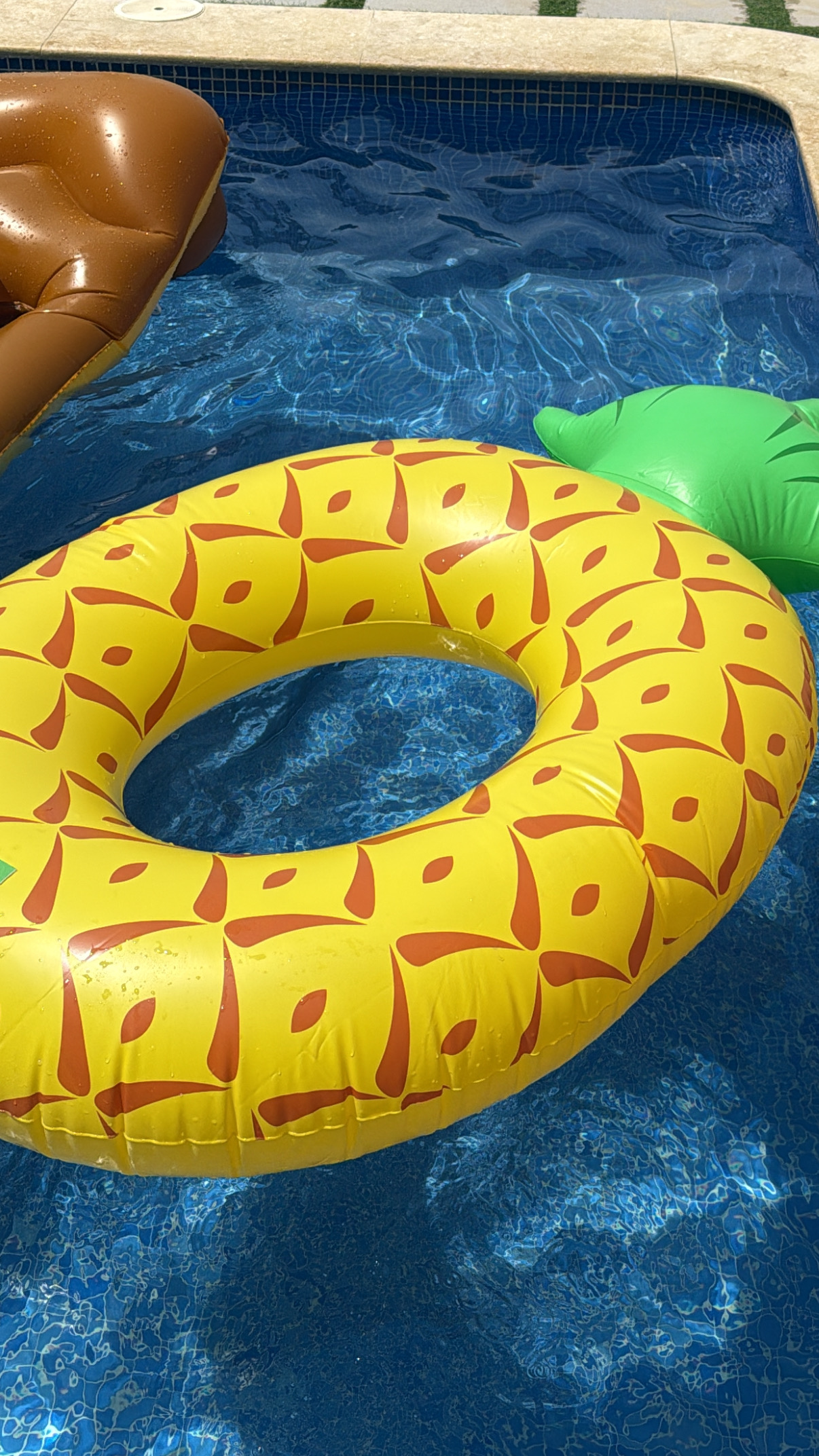 صورة مصغرة رقم 2 للمنتج طفاحية الاناناس