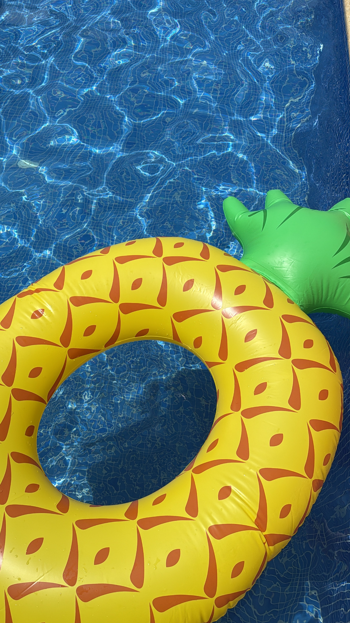 صورة مصغرة رقم 3 للمنتج طفاحية الاناناس