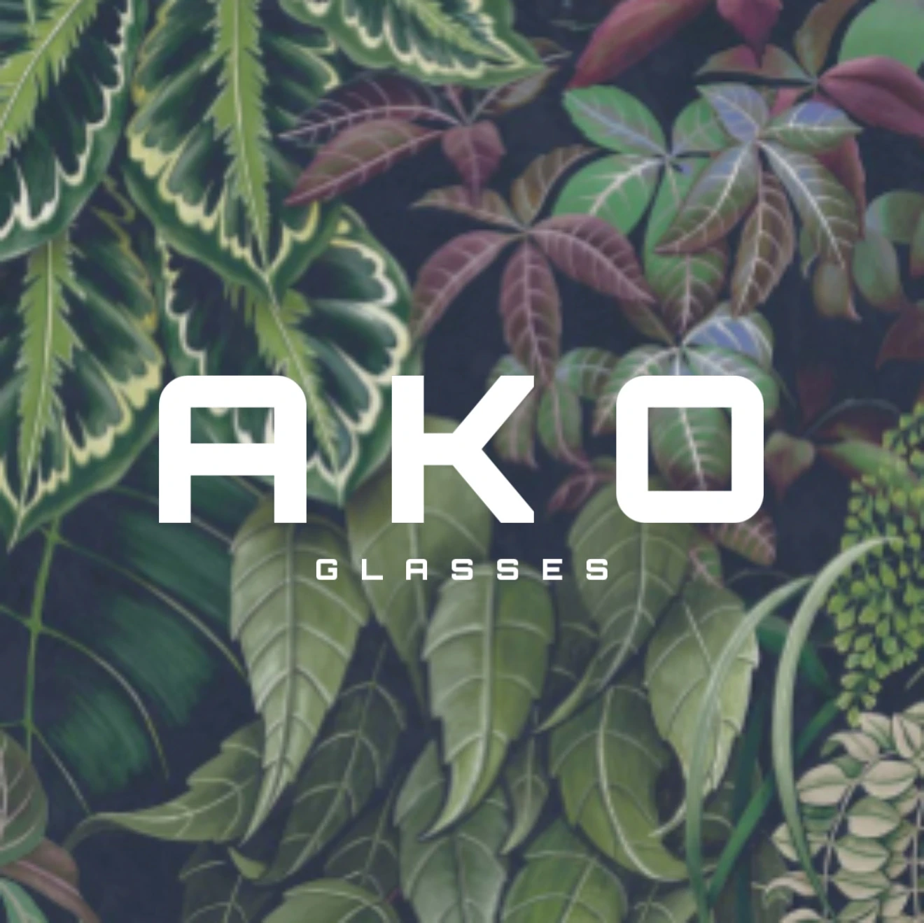 Ako Glasses